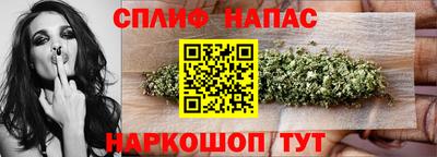 прущие грибы Обнинск