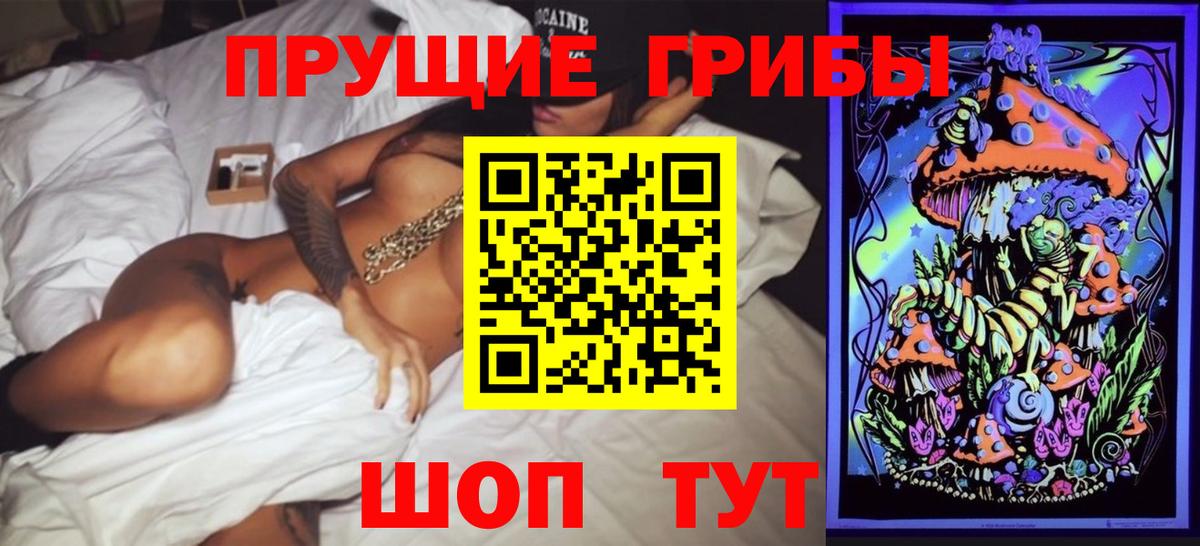Спасск-Дальний  Псилоцибиновые грибы Psilocybine cubensis  Вход с VPN 