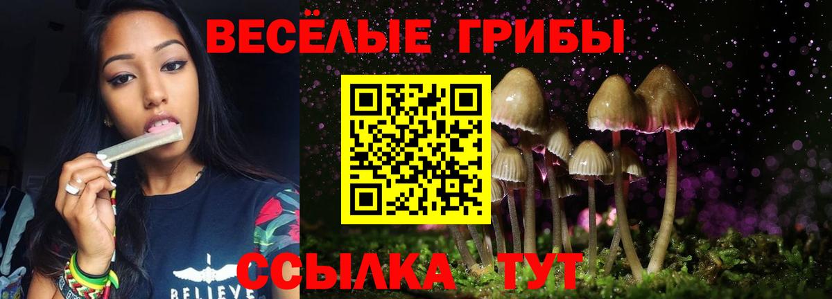 Галлюциногенные грибы MAGIC MUSHROOMS Спасск-Дальний
